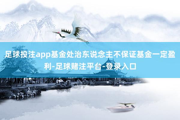 足球投注app基金处治东说念主不保证基金一定盈利-足球赌注平台-登录入口