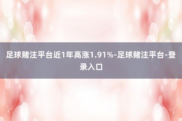 足球赌注平台近1年高涨1.91%-足球赌注平台-登录入口