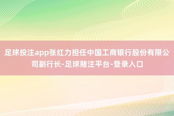 足球投注app张红力担任中国工商银行股份有限公司副行长-足球赌注平台-登录入口