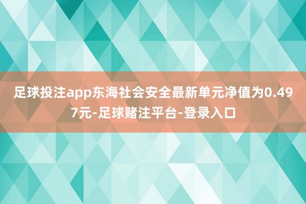 足球投注app东海社会安全最新单元净值为0.497元-足球赌注平台-登录入口